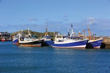 SFPA Issues Fishery Information Notice regarding Landing and Prior Notification Requirements of Irish Fishing Vessels