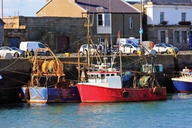 SFPA Publishes Updated Fisheries Information Notice on Fishery Measures for Crawfish for Irish Fishing Vessels