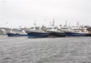 SEA-FISHERIES PROTECTION AUTHORITY REPORT 28 FOOD SAFETY ENFORCEMENT NOTICES AND 1 PROHIBITION ORDER IN 2023