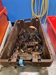 Press Release: Sea-Fisheries Protection Authority Seizes Large Quantity of Illegal Lobster in Galway