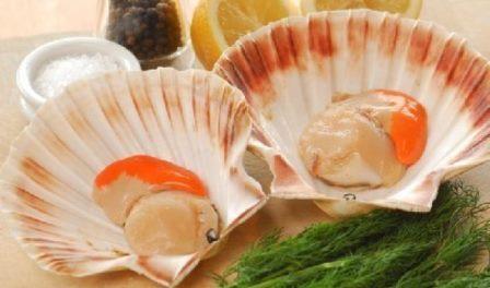 SFPA Urges Safe Shucking to Safeguard Scallops Sector