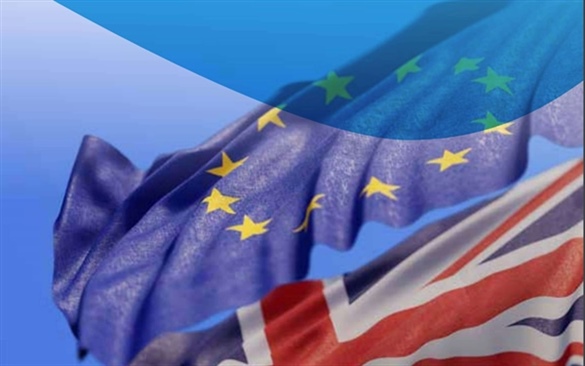 The  (SFPA) and  (BIM) will host a number of Webinars  to provide regulatory guidance and grant aid information that will help prepare the seafood industry for the UK’s departure from the EU.