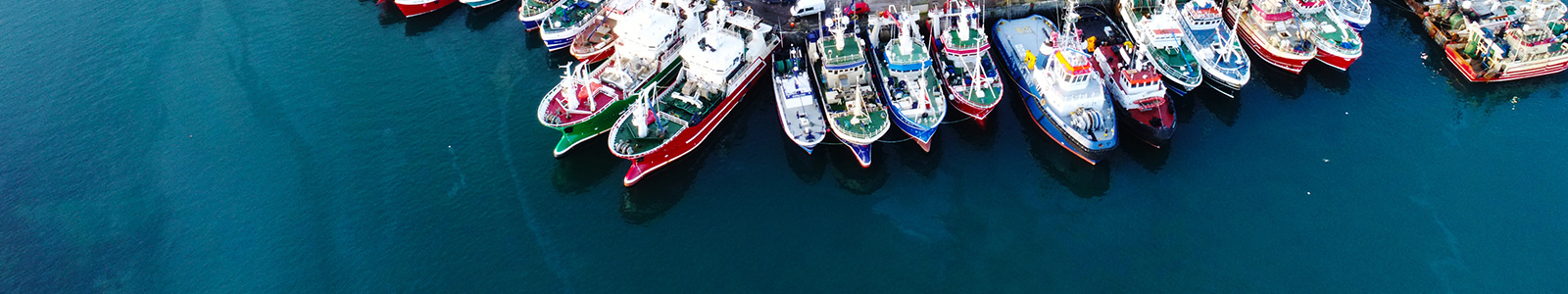 aerial photograph of fishing vessels berthed at pier